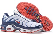 Nike Air Max TN 8909-110